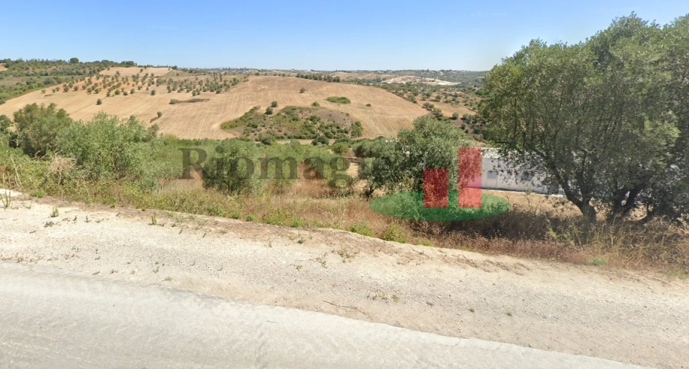 Terreno para Venda em Rio Maior Foto 2