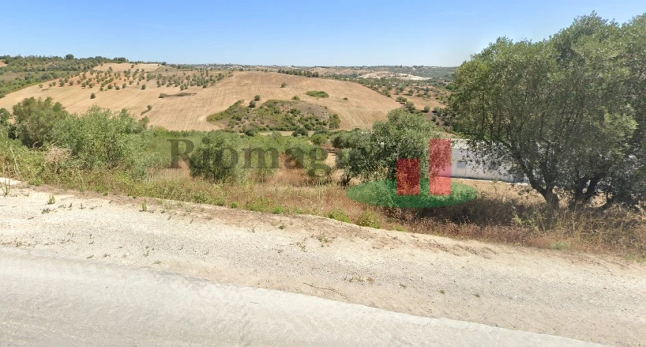 Terreno para Venda em Rio Maior Foto 2