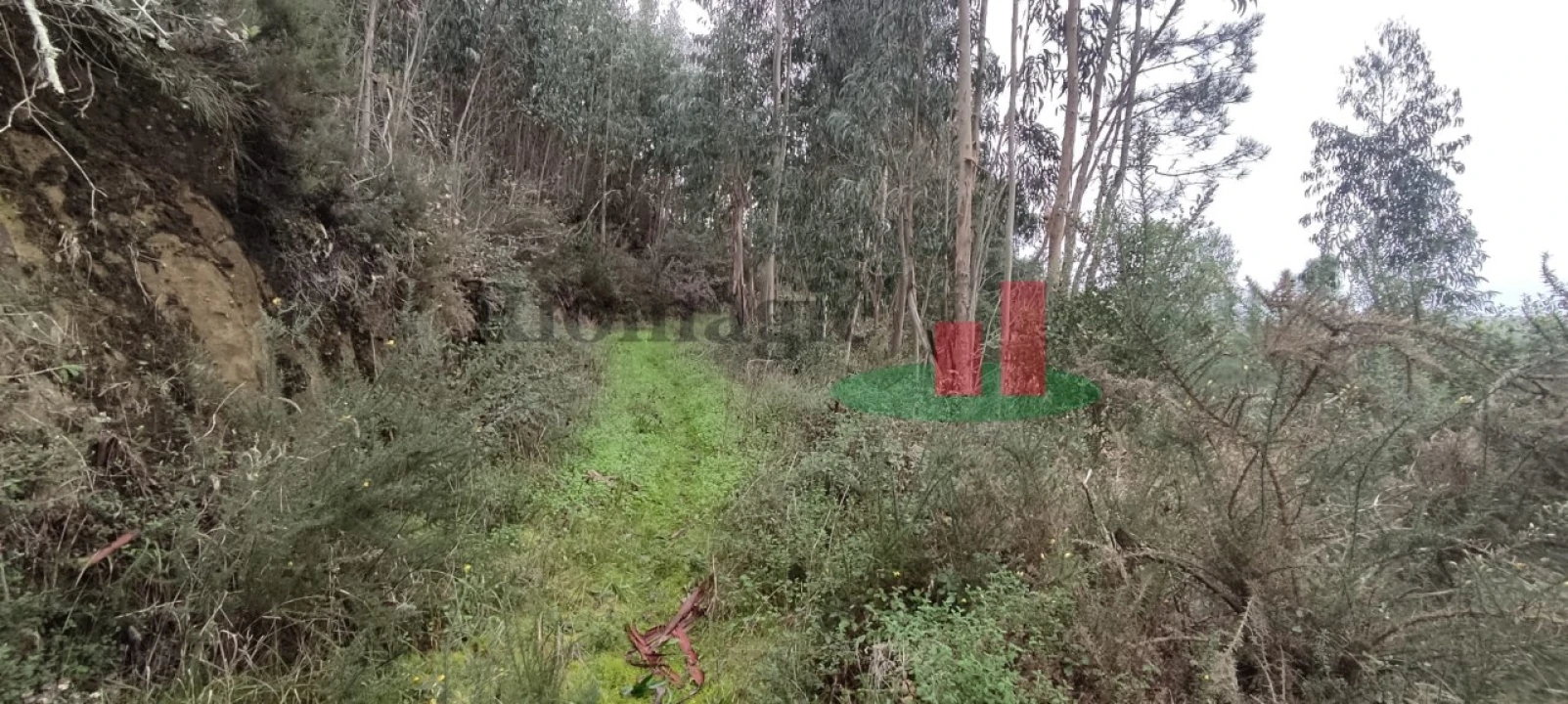 Terreno para Venda em Santa Catarina Foto 8