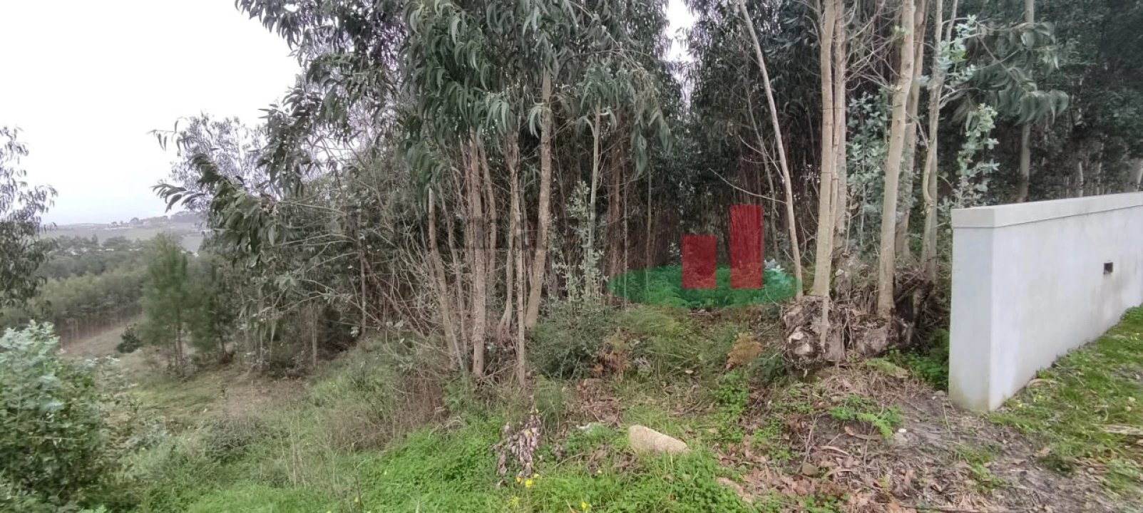 Terreno para Venda em Santa Catarina Foto 3