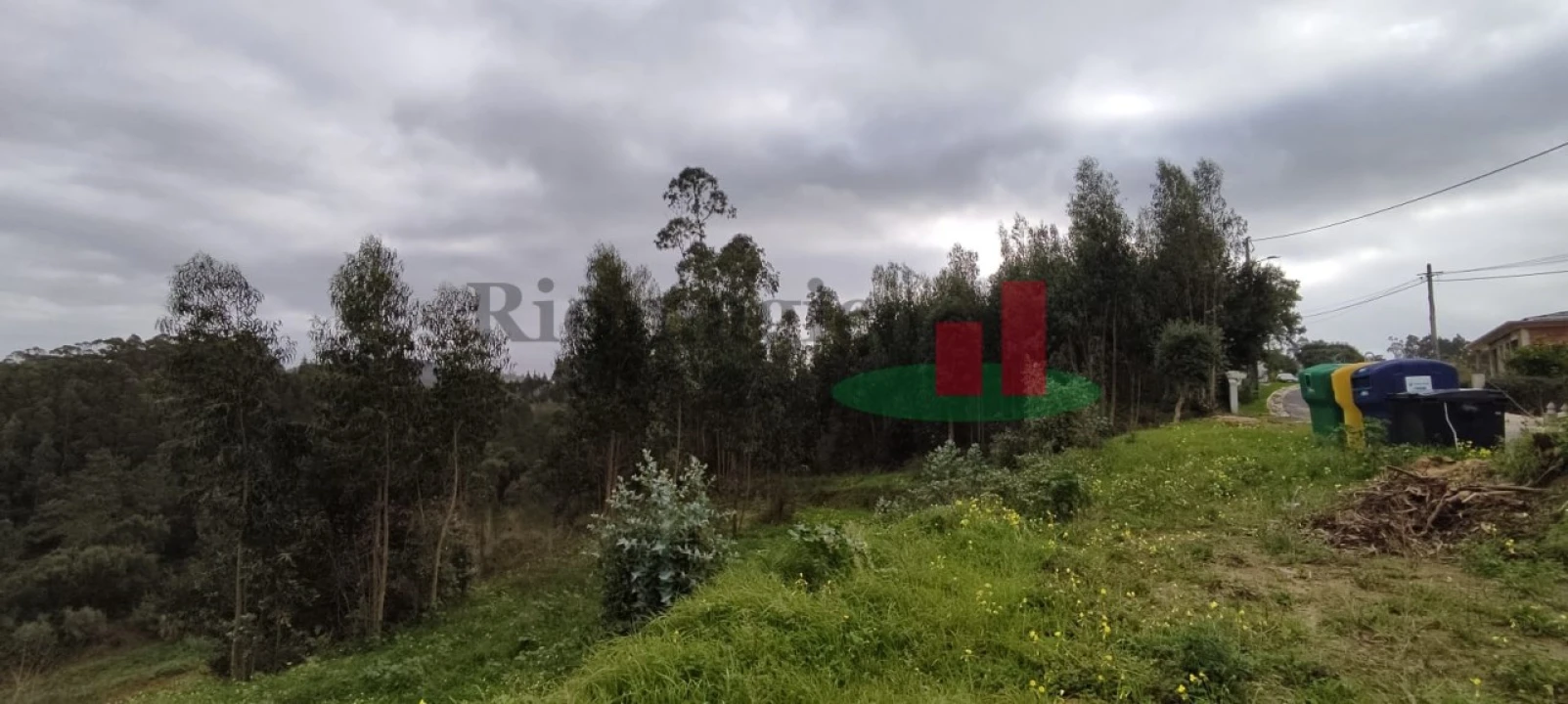 Terreno para Venda em Santa Catarina Foto 10