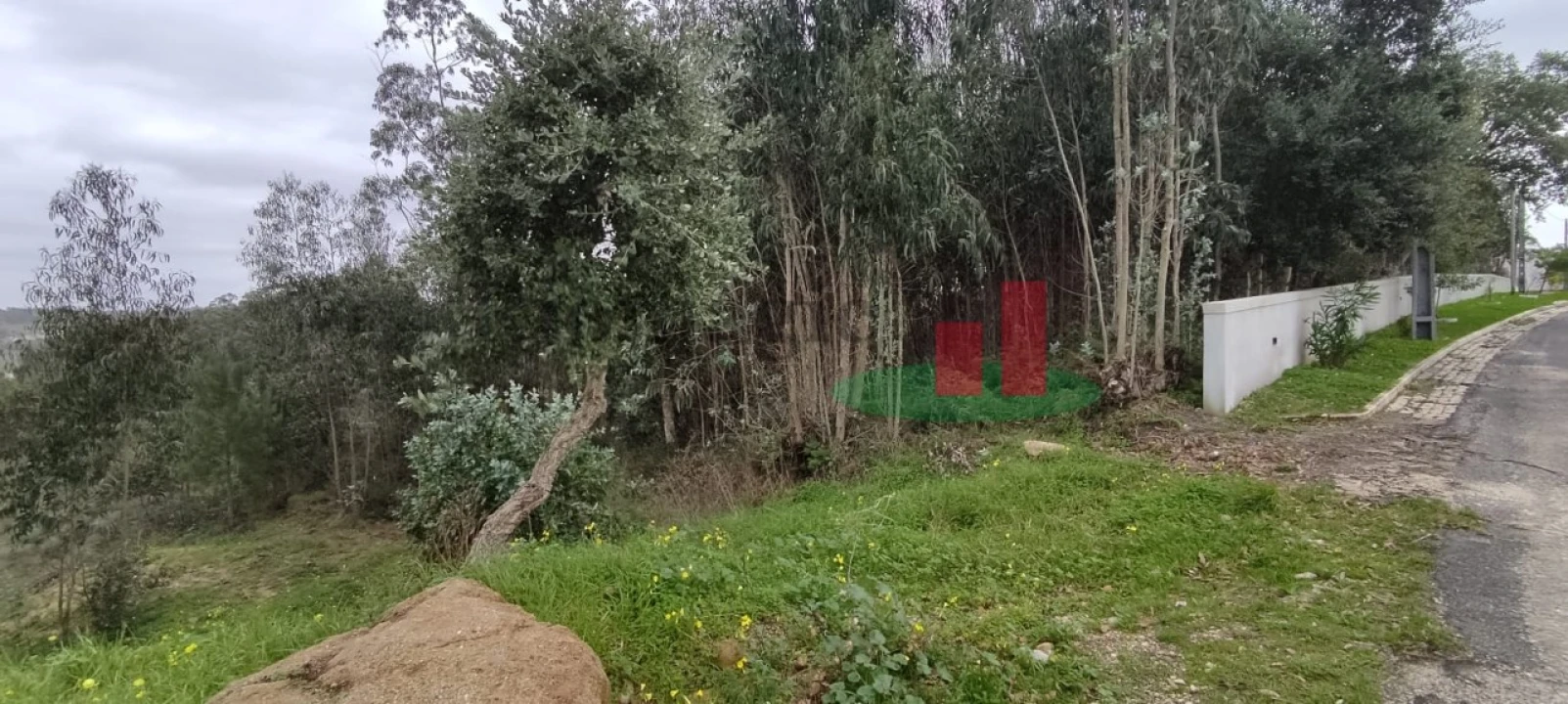 Terreno para Venda em Santa Catarina Foto 4