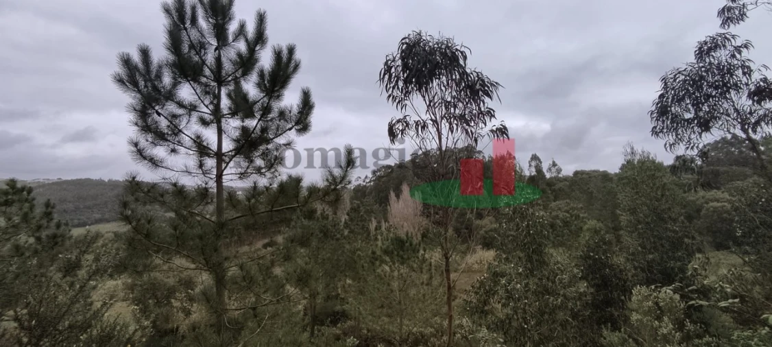Terreno para Venda em Santa Catarina Foto 6