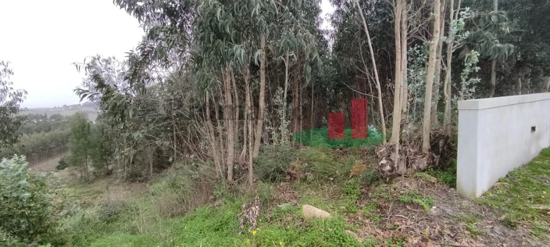 Terreno para Venda em Santa Catarina Foto 3