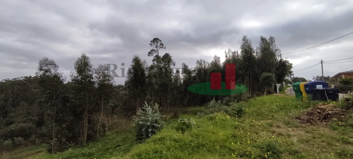 Terreno para Venda em Santa Catarina Foto 10