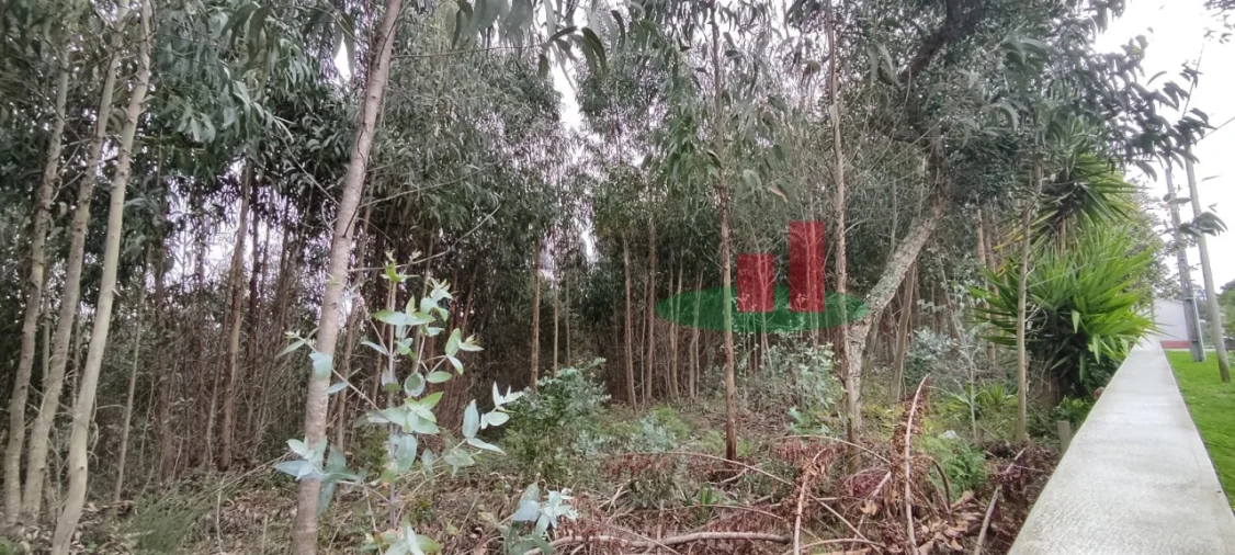 Terreno para Venda em Santa Catarina Foto 11