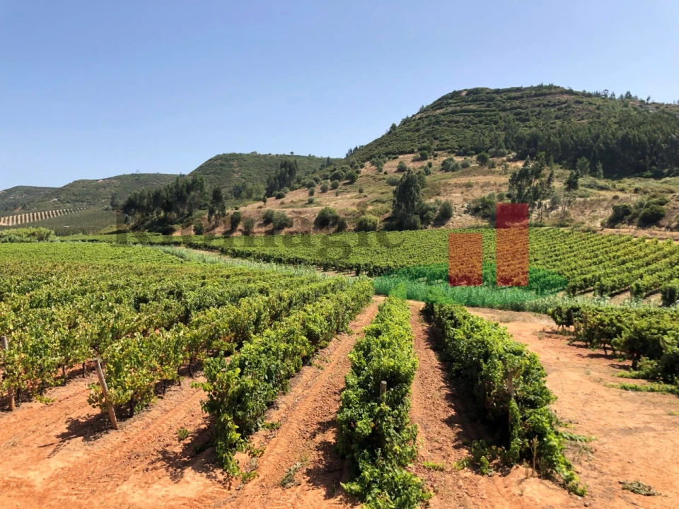 Terreno para Venda em Alcoentre Foto 1
