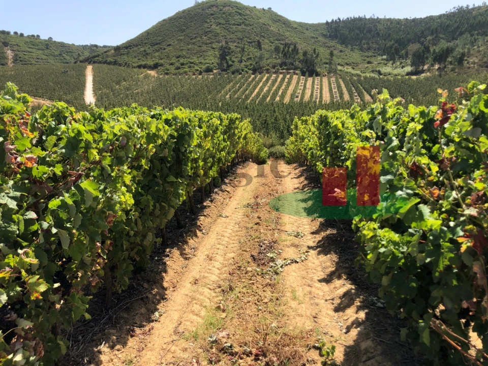 Terreno para Venda em Alcoentre Foto 2