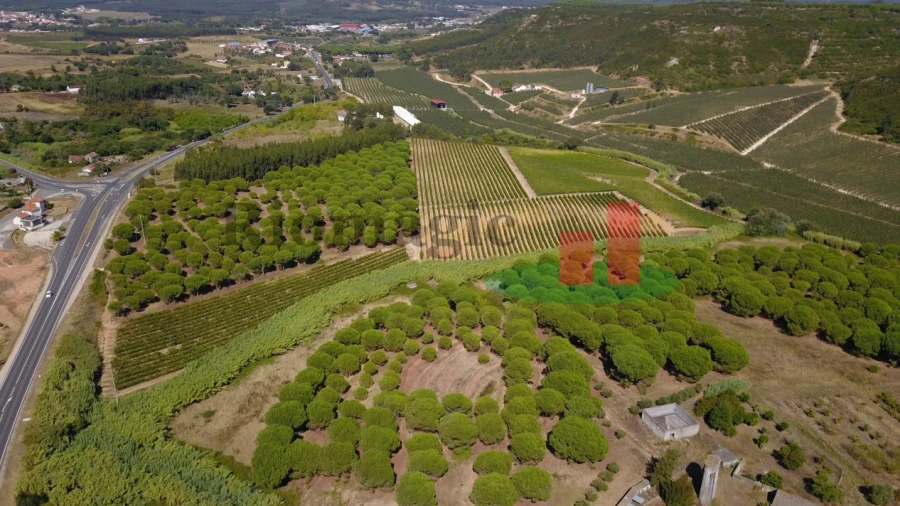 Terreno para Venda em Alcoentre