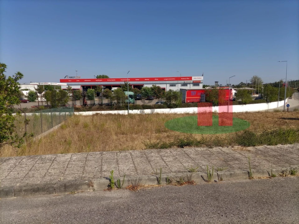 Terreno para Venda em Mação, Penhascoso e Aboboreira Foto 1