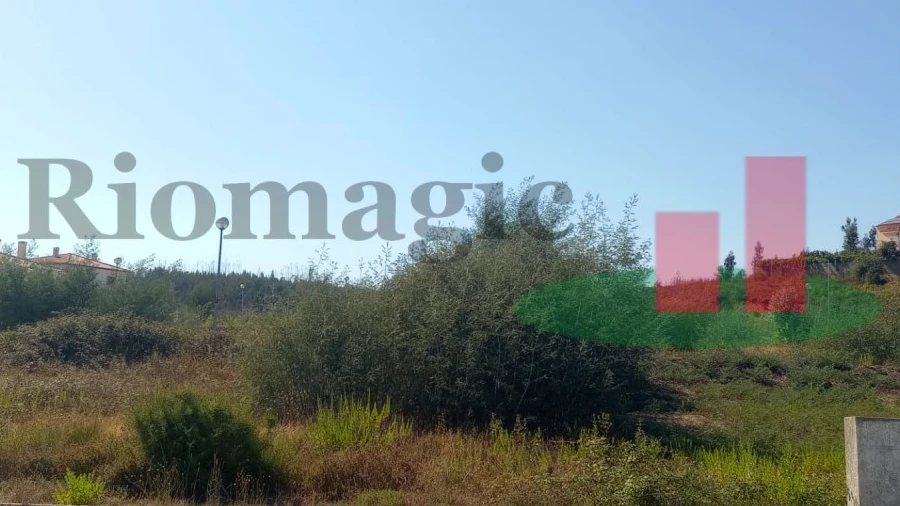 Terreno para Venda em Mação, Penhascoso e Aboboreira