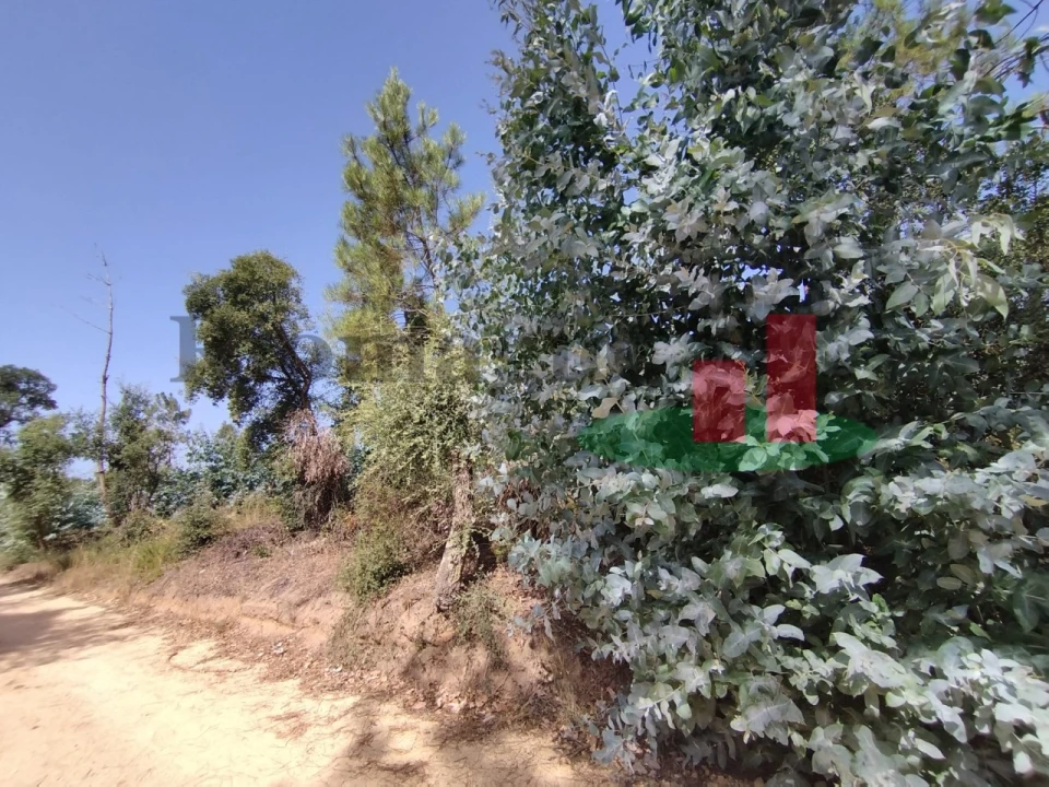Terreno para Venda em Rio Maior Foto 2