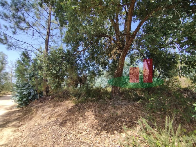 Terreno para Venda em Rio Maior Foto 2