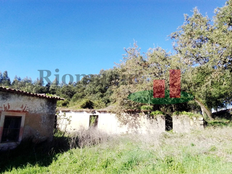 Terreno para Venda em Rio Maior Foto 11