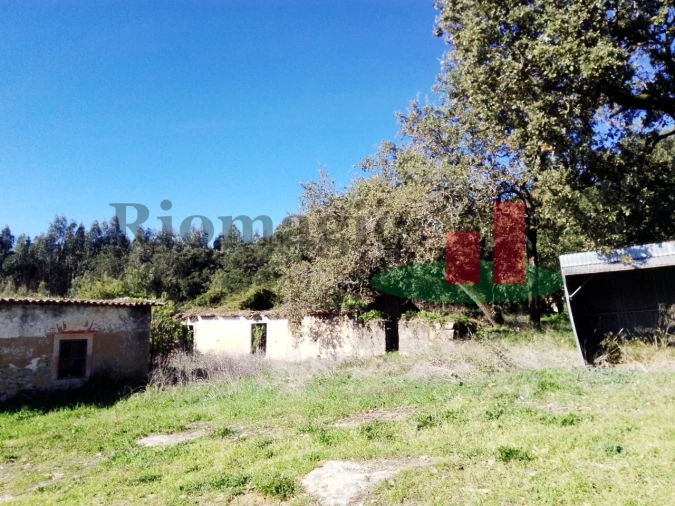 Terreno para Venda em Rio Maior Foto 12