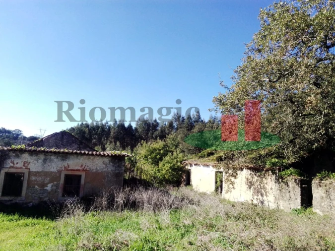 Terreno para Venda em Rio Maior Foto 10