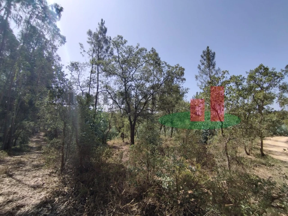 Terreno para Venda em Rio Maior Foto 1