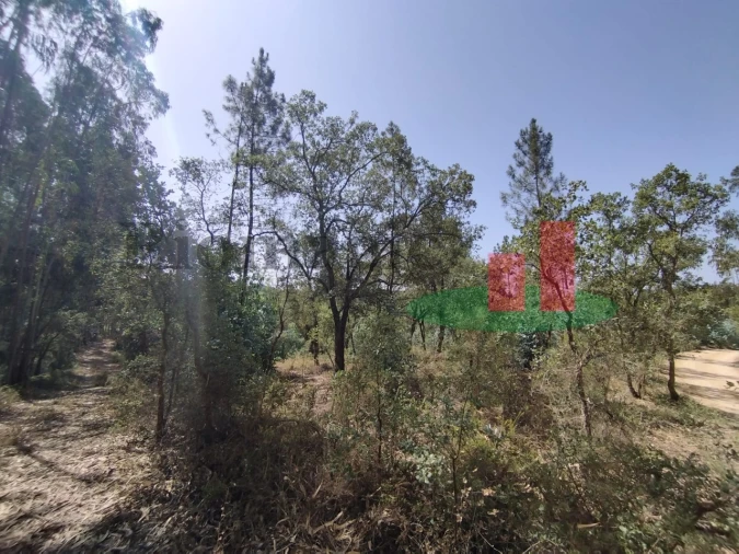 Terreno para Venda em Rio Maior