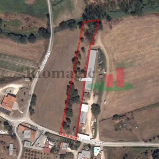 Terreno para Venda em Asseiceira Foto 3