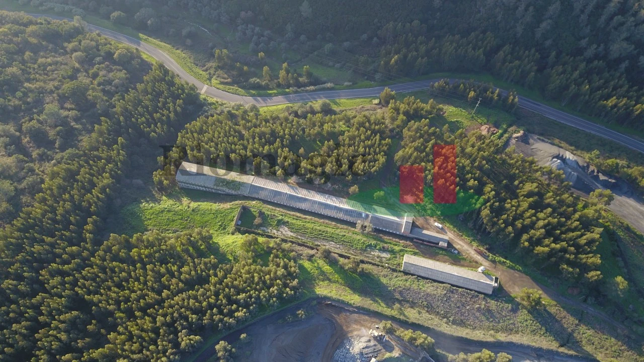 Terreno para Venda em Rio Maior Foto 2