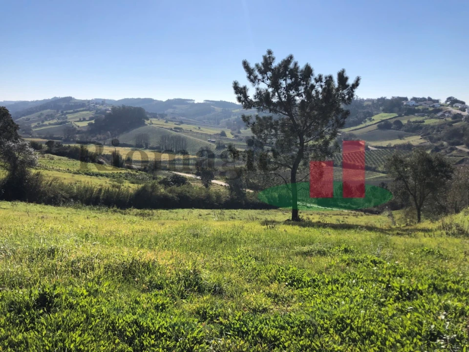 Terreno para Venda em Alvorninha Foto 16