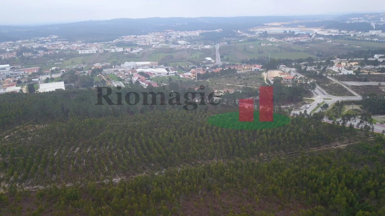 Terreno para Venda em Rio Maior Foto 8