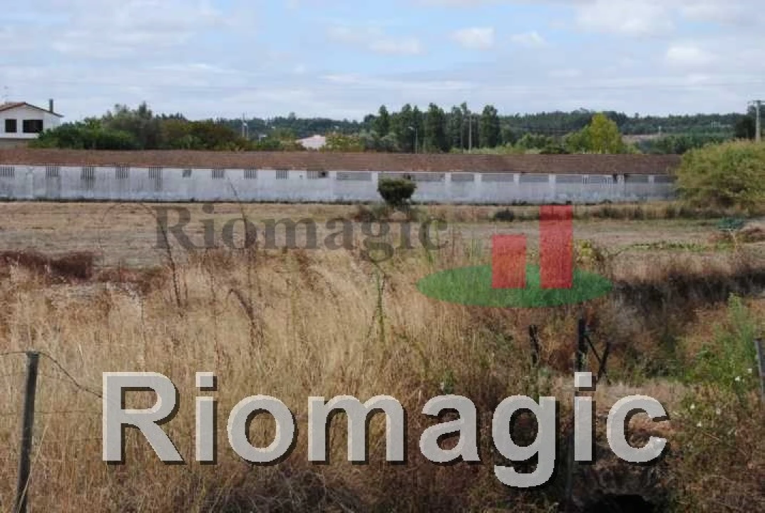 Terreno para Venda em Rio Maior Foto 2
