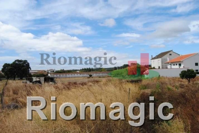 Terreno para Venda em Rio Maior Foto 3