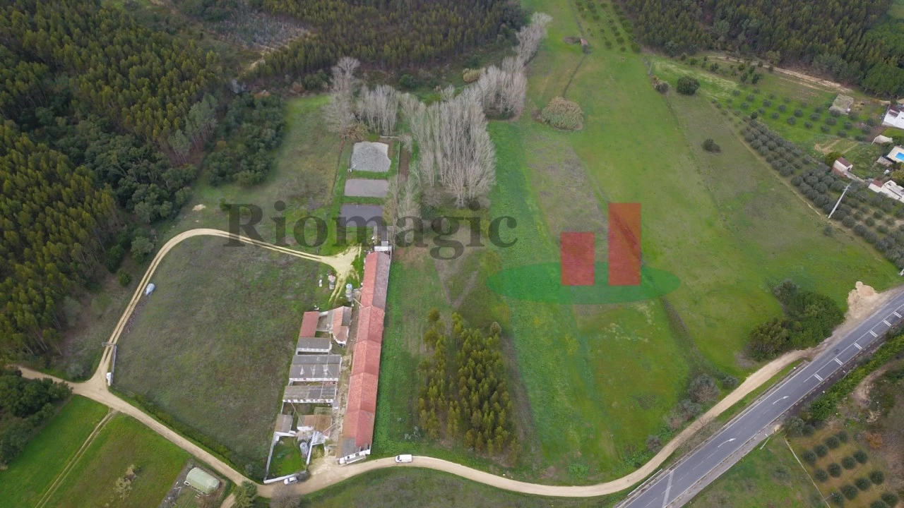 Terreno para Venda em Asseiceira Foto 1