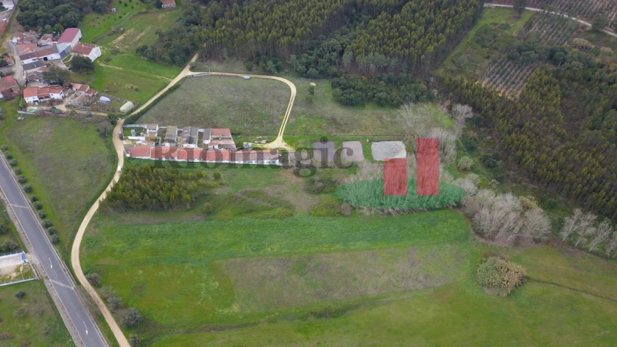 Terreno para Venda em Asseiceira