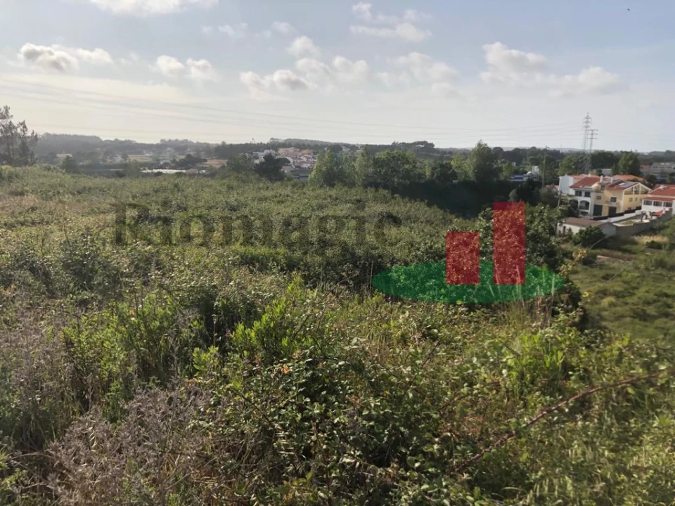 Terreno para Venda em Caldas da Rainha - Santo Onofre e Serra do Bouro Foto 3