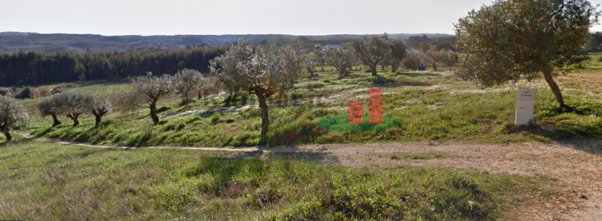 Terreno para Venda em São João da Ribeira e Ribeira de São João Foto 1