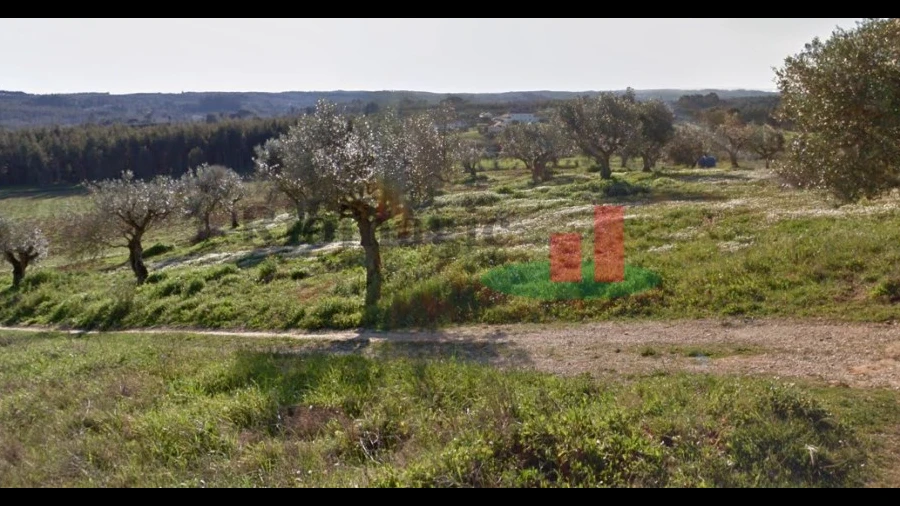 Terreno para Venda em São João da Ribeira e Ribeira de São João