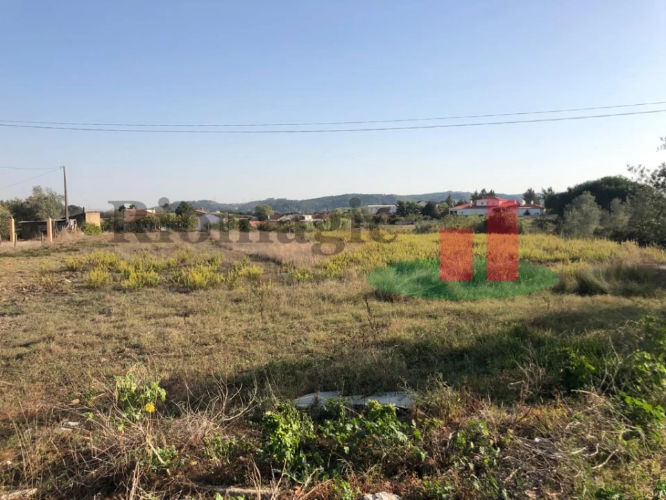 Terreno para Venda em Alcoentre Foto 13