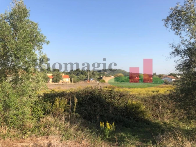 Terreno para Venda em Alcoentre Foto 3