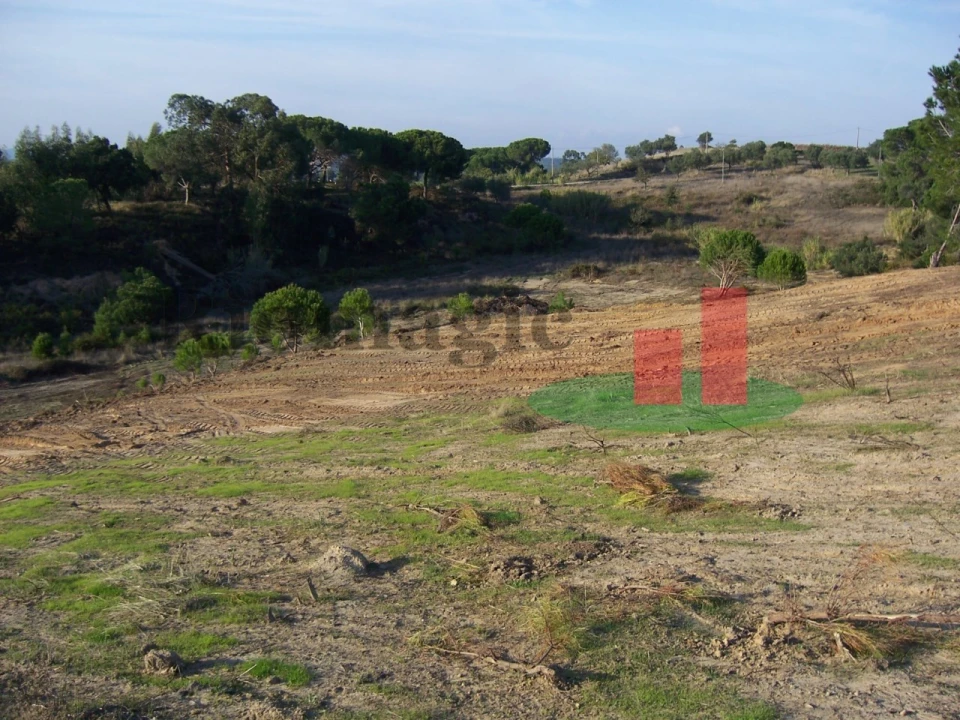 Terreno para Venda em Aveiras de Cima Foto 8