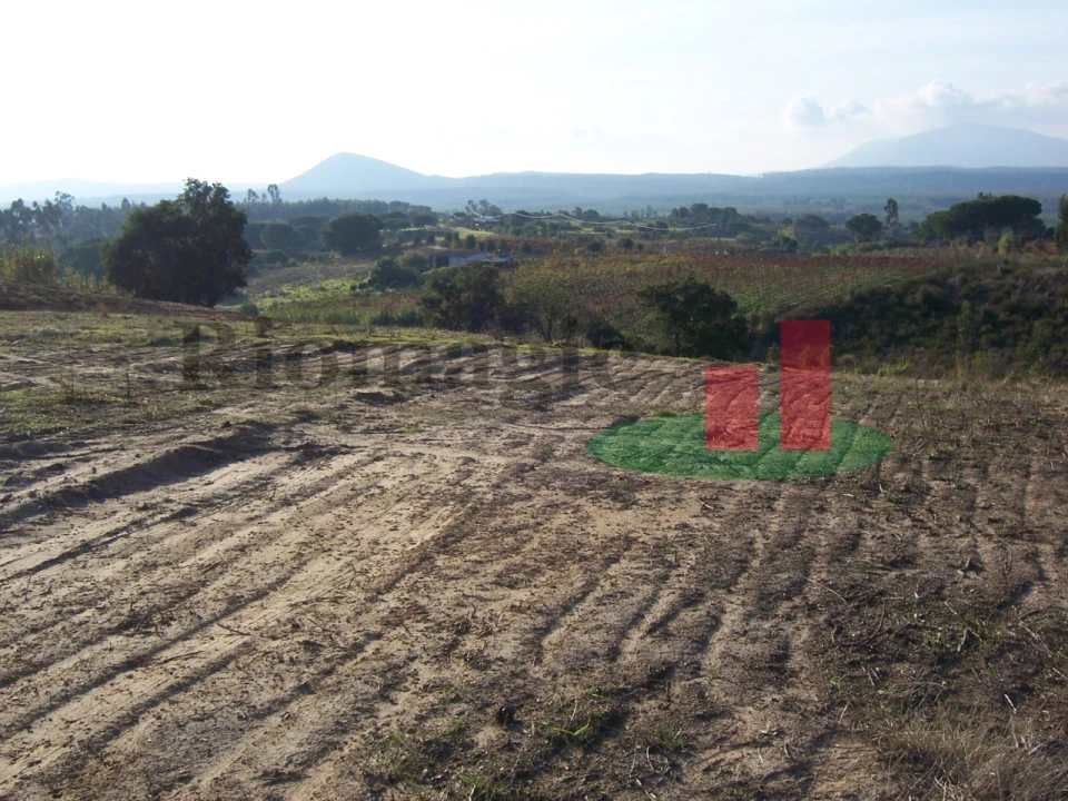 Terreno para Venda em Aveiras de Cima Foto 10