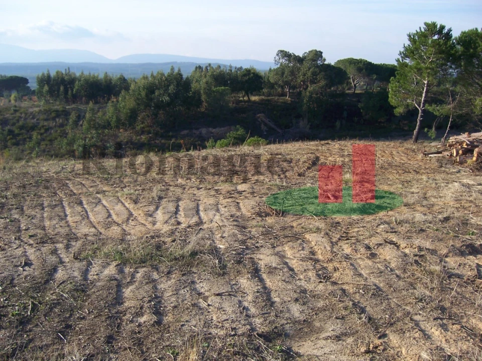 Terreno para Venda em Aveiras de Cima Foto 11