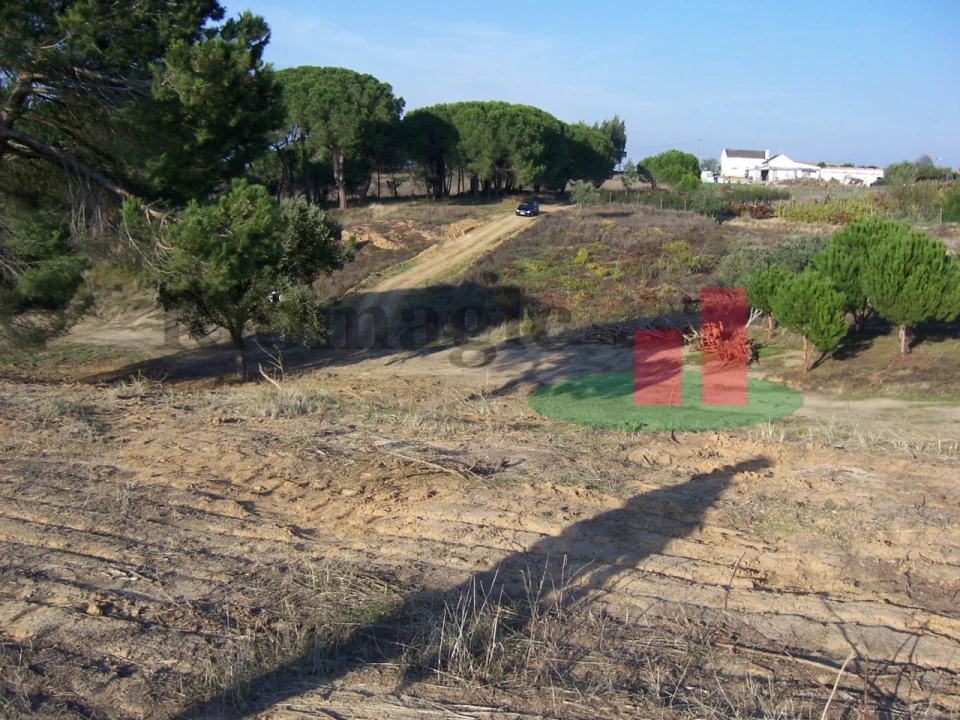 Terreno para Venda em Aveiras de Cima Foto 13