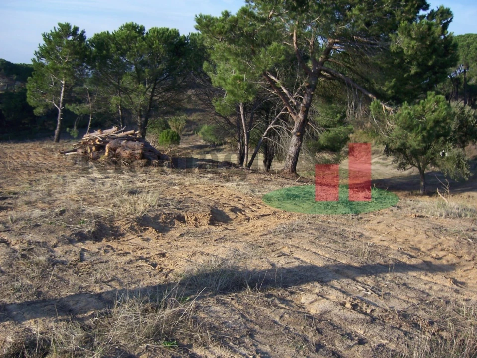 Terreno para Venda em Aveiras de Cima Foto 12