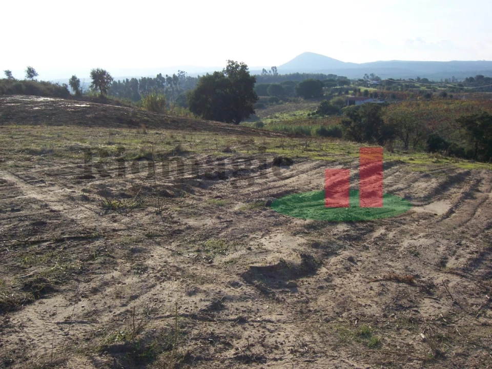 Terreno para Venda em Aveiras de Cima Foto 15