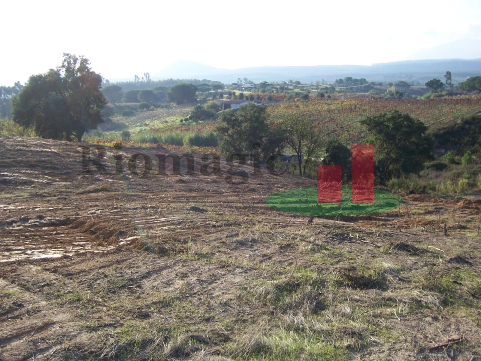 Terreno para Venda em Aveiras de Cima Foto 17
