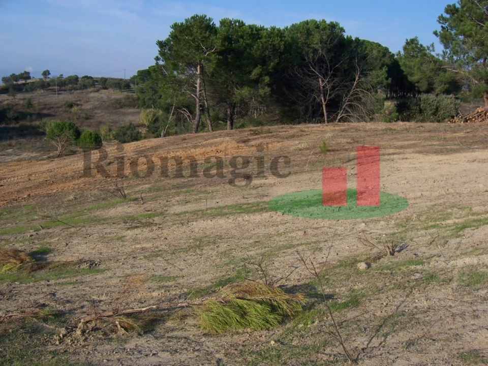 Terreno para Venda em Aveiras de Cima Foto 19