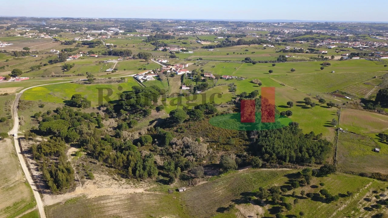 Terreno para Venda em Aveiras de Cima Foto 21