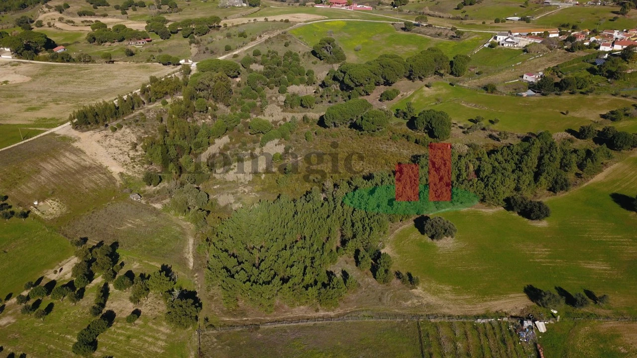 Terreno para Venda em Aveiras de Cima Foto 25