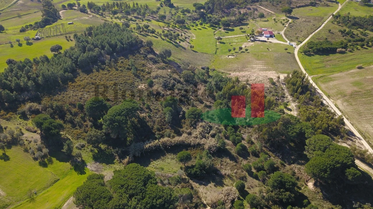 Terreno para Venda em Aveiras de Cima Foto 28