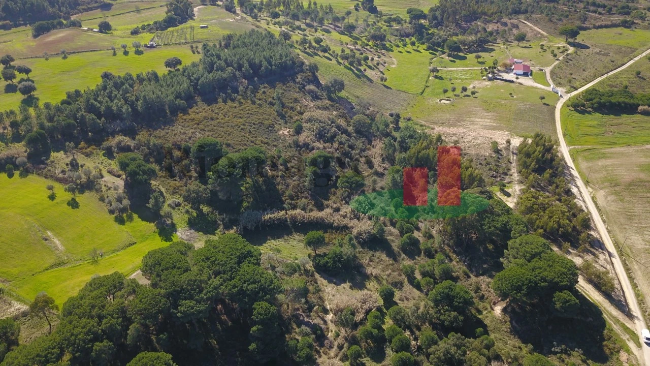 Terreno para Venda em Aveiras de Cima Foto 29