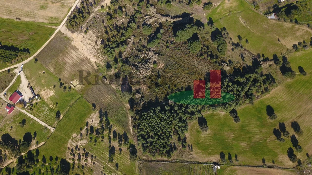 Terreno para Venda em Aveiras de Cima Foto 31