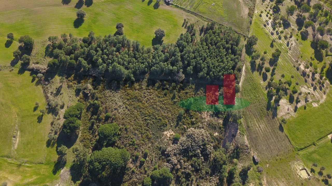 Terreno para Venda em Aveiras de Cima Foto 6