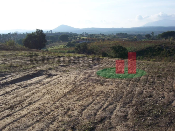 Terreno para Venda em Aveiras de Cima Foto 3